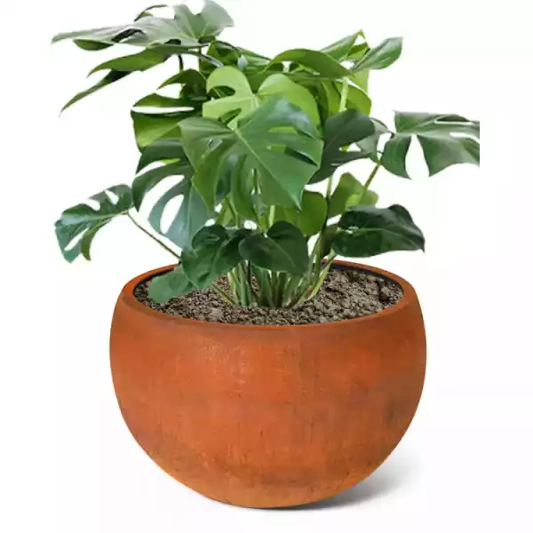 Hemispherical outdoor flowerpot Weather resistant steel flowerpot One flowerpot, suitable for shopping malls, roads, parks, courtyards
