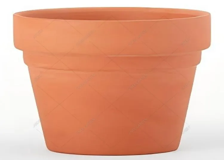 What Is The Best Flower Pot?