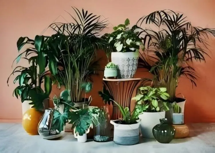 What Makes A Good Flower Pot?