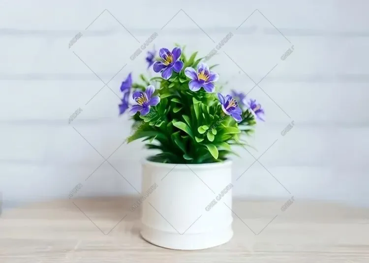 What Is The Ideal Flower Pot Size?
