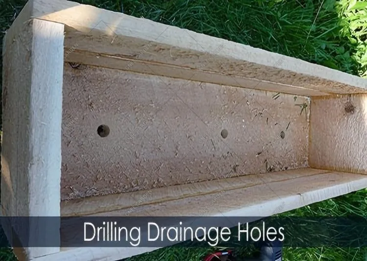 Do I Need To Drill Holes In The Bottom Of My Planter Box?