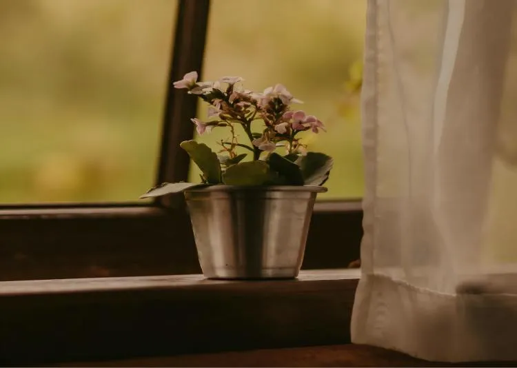 Do I Need To Line A Stainless Steel Flower Pot?