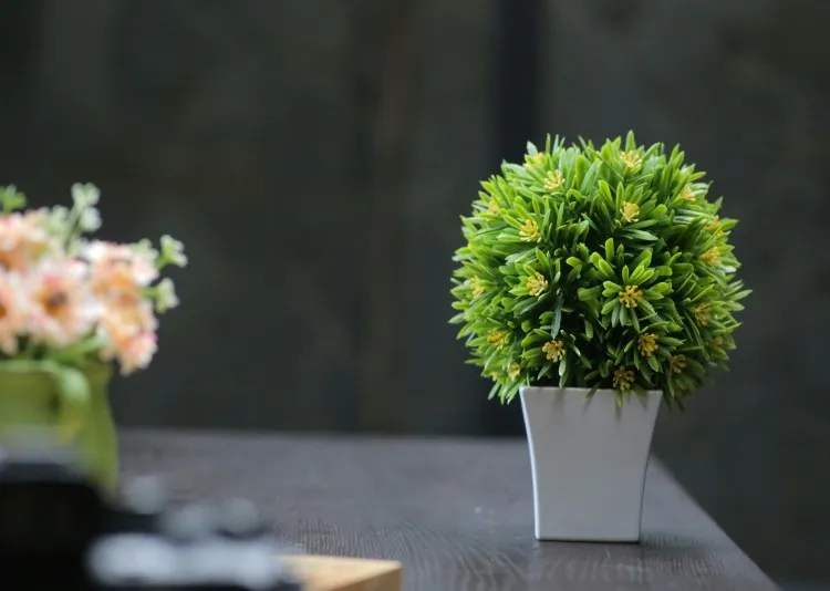 Does Stainless Steel Flower Pot Corrode In Soil?