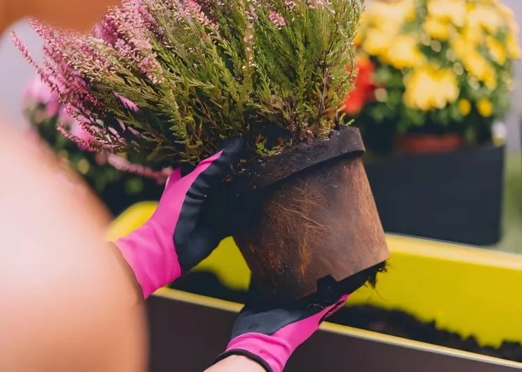 Does A High-Quality Stainless Steel Flower Pot Turn Green?
