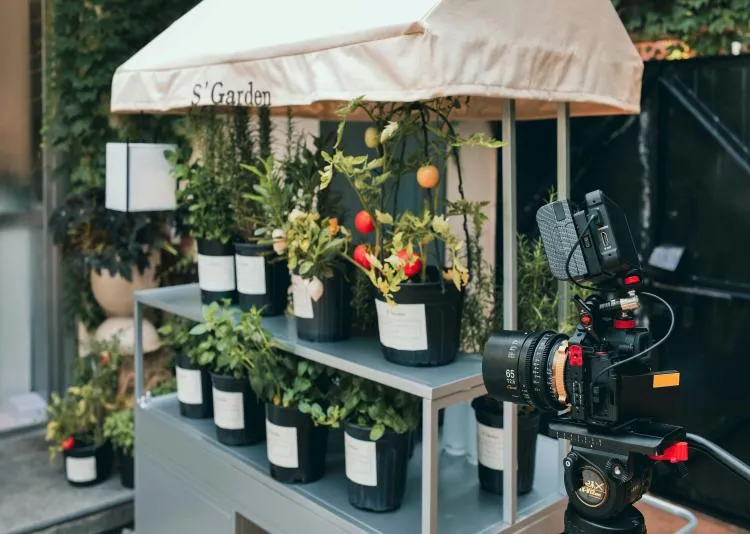 What Type Of Flower Pots Last The Longest?