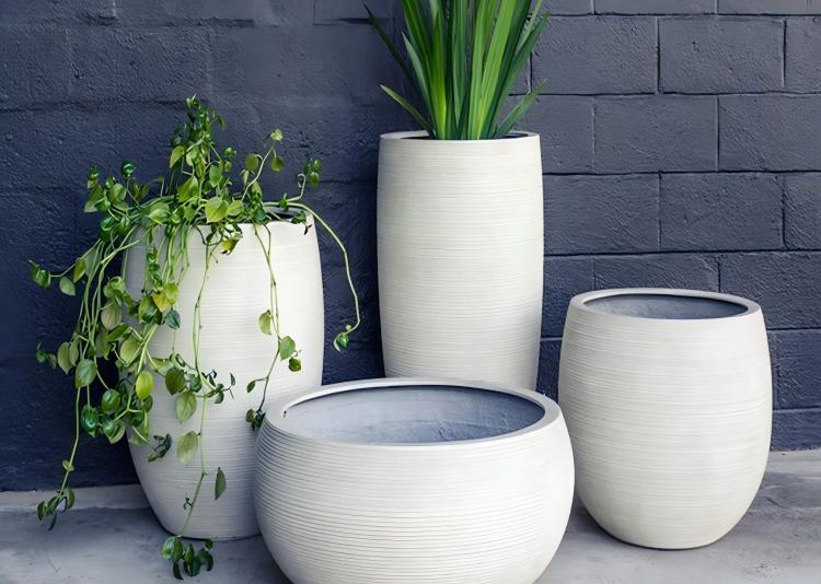 What Type Of Flower Pots Are Best For Outdoor Plants?