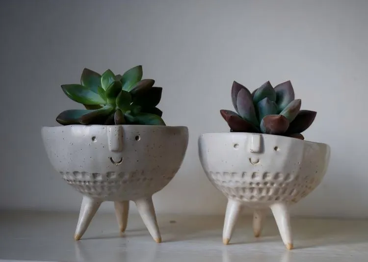 Do Plants Grow Better In Plastic Or Ceramic Pots?