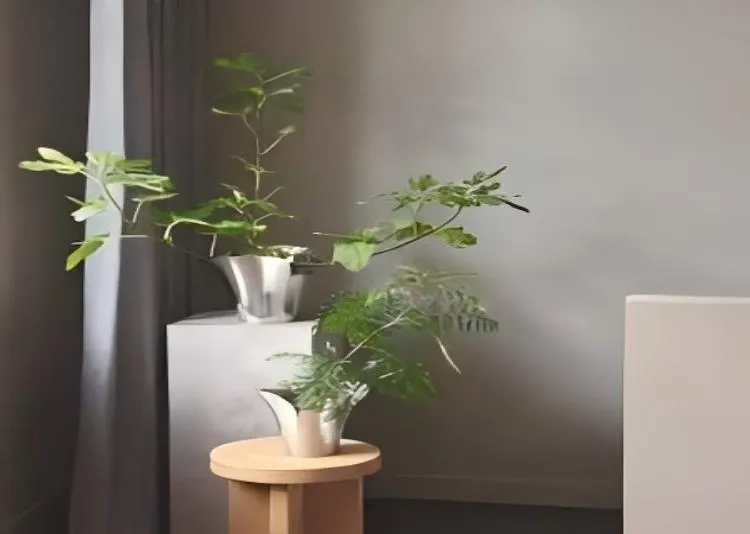 What Are The Alternatives To Plastic Plant Pots?