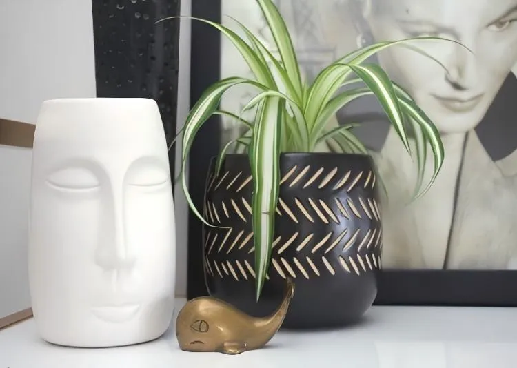 Do Plants Grow Better In Plastic Or Ceramic Pots?