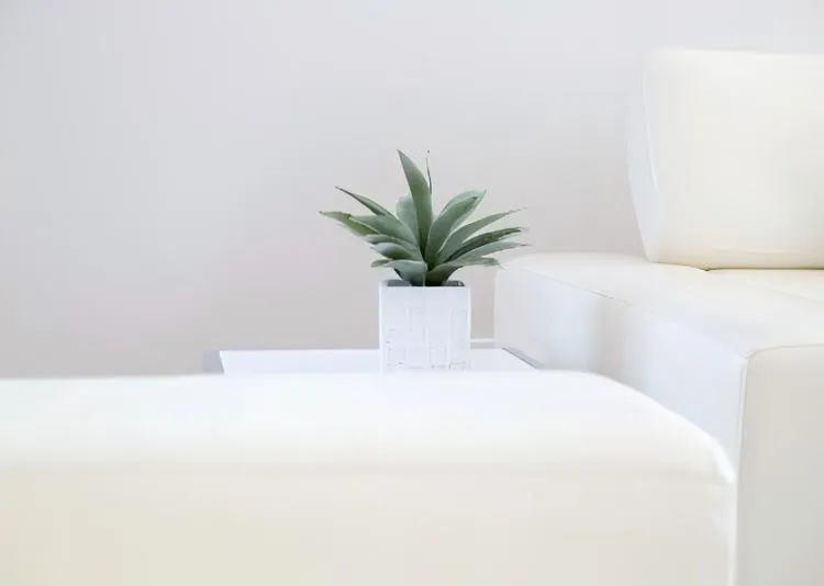 What Are The Healthiest Pots To Use?