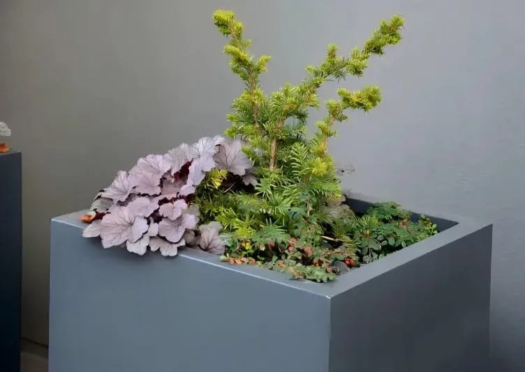 Should I Line A Galvanized Planter?