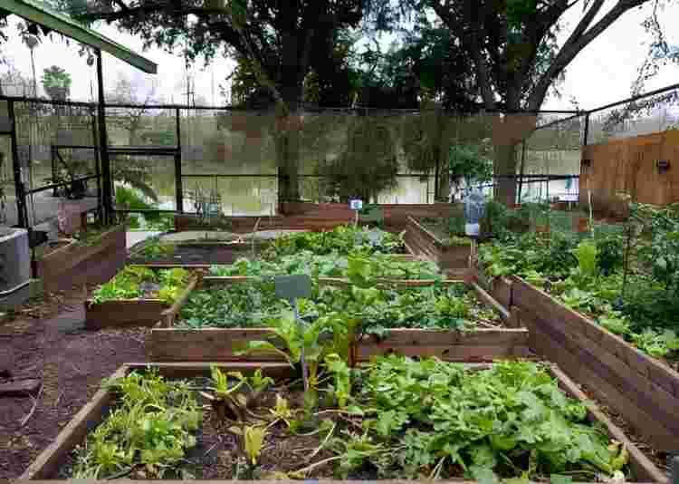 Are Galvanized Containers Safe For Gardening?