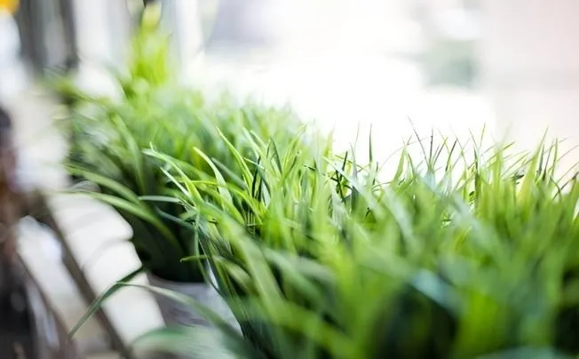 2.18.7_11zon.webp